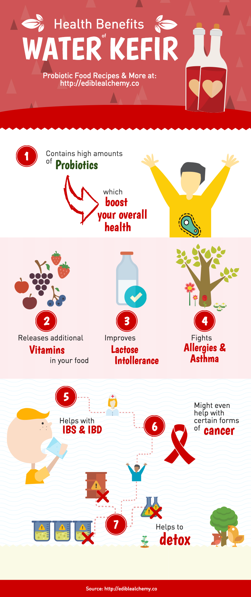 Water Kefir Health Benefits Infographic