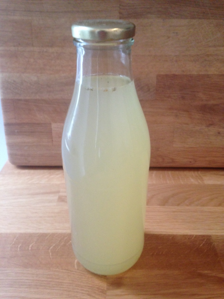 secondary fermentation - bottled water kefir