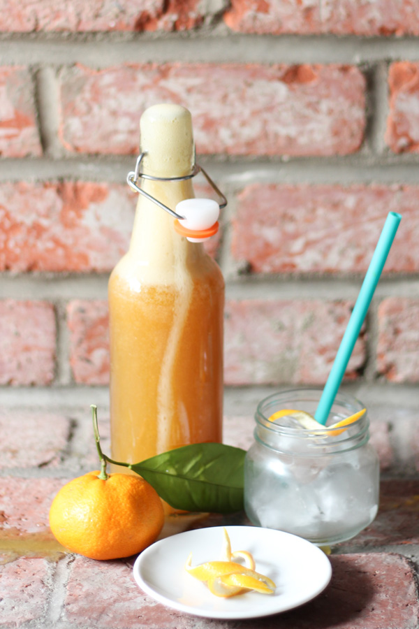 Orange Kefir Soda