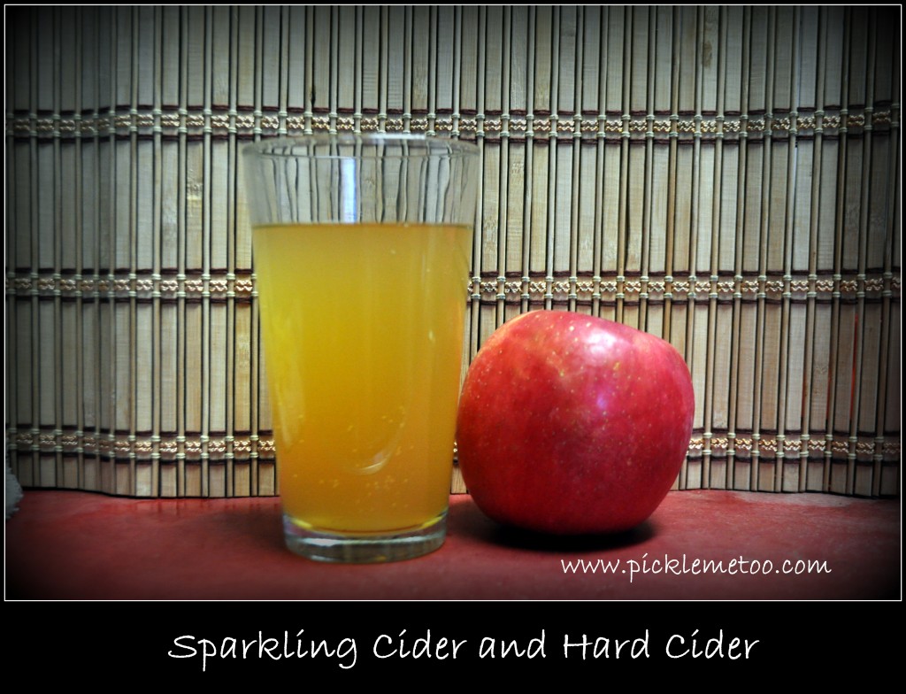 apple cider water kefir