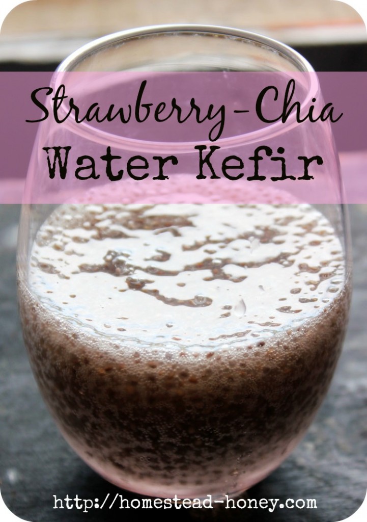 strawberry chia water kefir