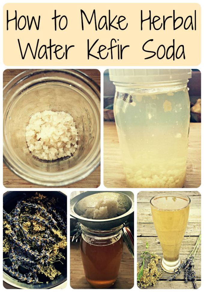 water kefir soda collage