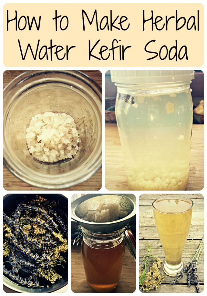 WATER KÉFIR of FLAVORS, 2 Easy Recipes