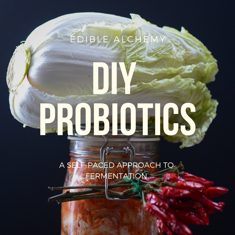 probiotics fermentation online course