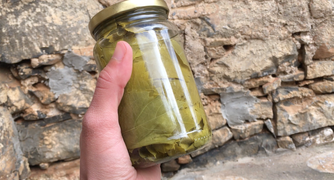 fermented grape leaves