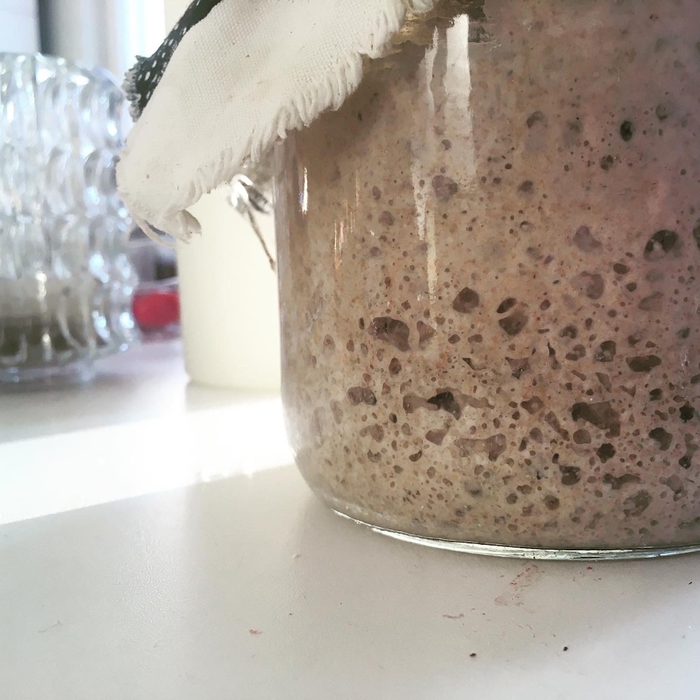 sourdough starter in jar close up