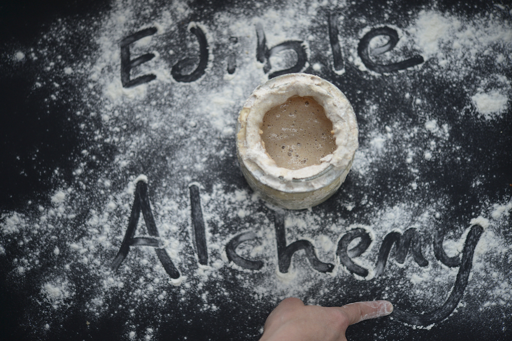 sourdough starter edible alchemy