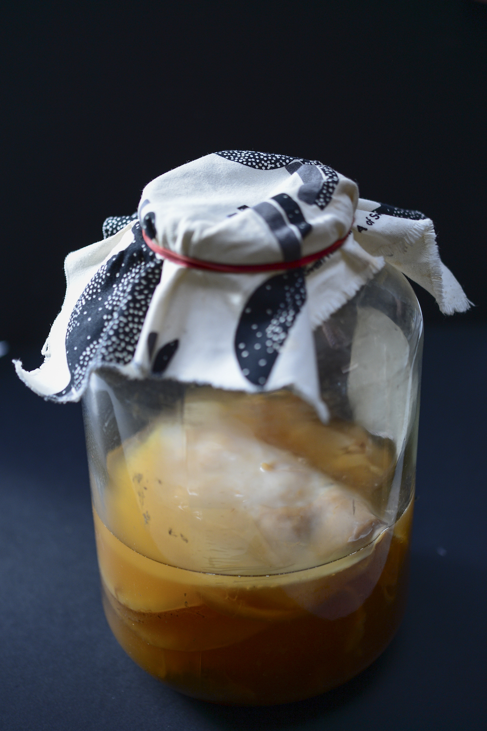 Kombucha SCOBY History, Uses & Interview