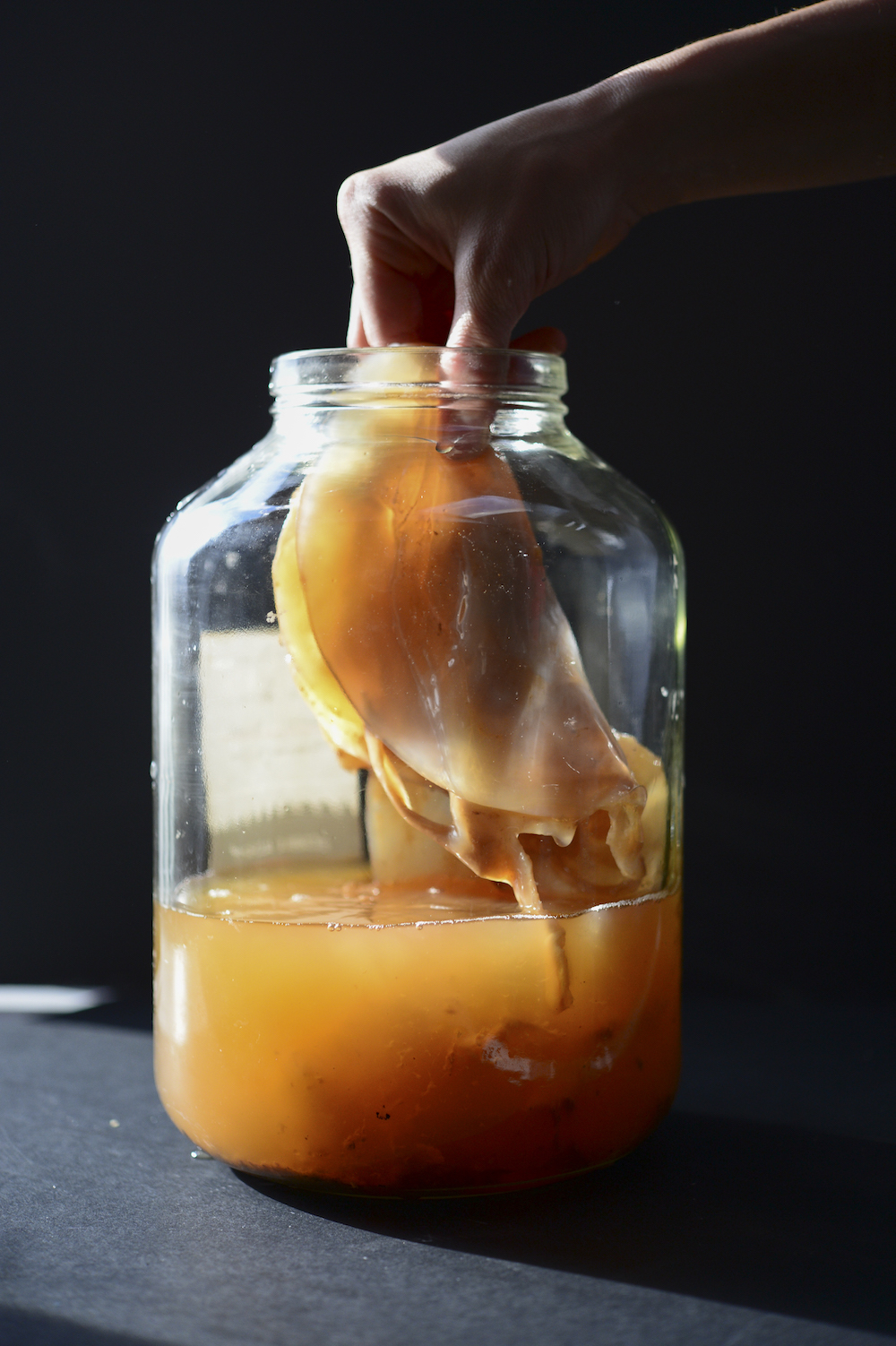 person grabbing kombucha scoby