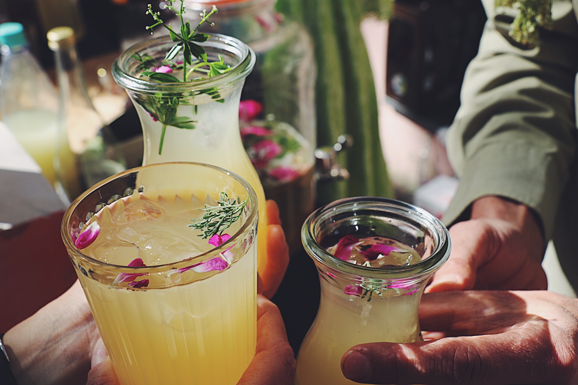 kombucha drinks with herbs and flowers