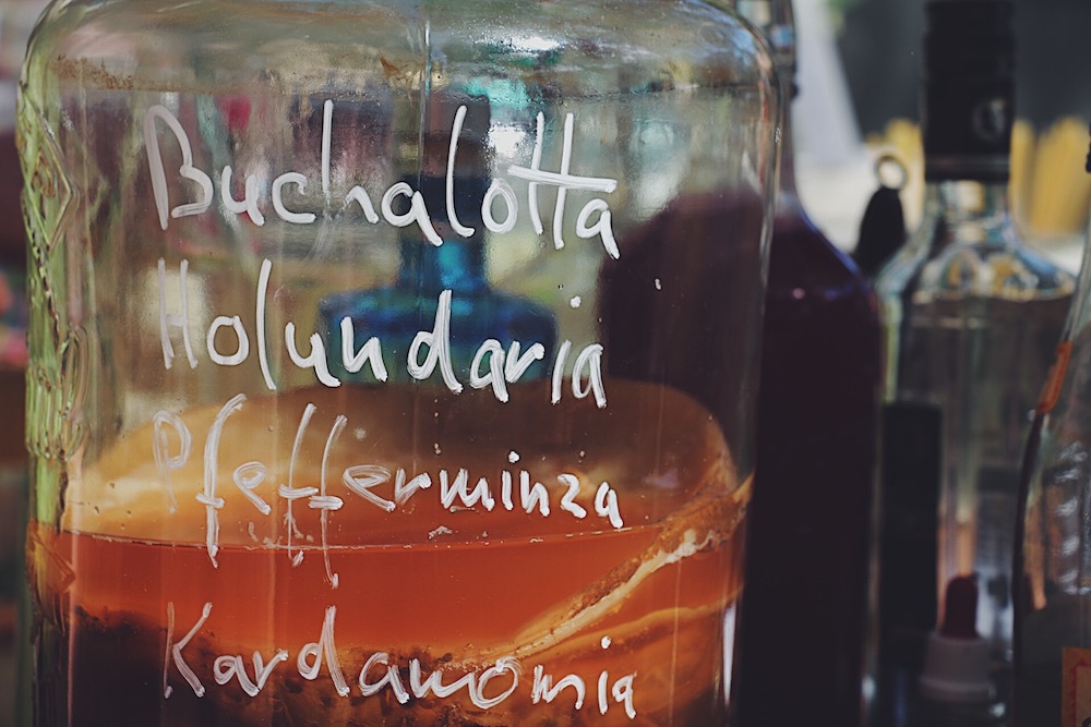 Kombucha SCOBY History, Uses & Interview