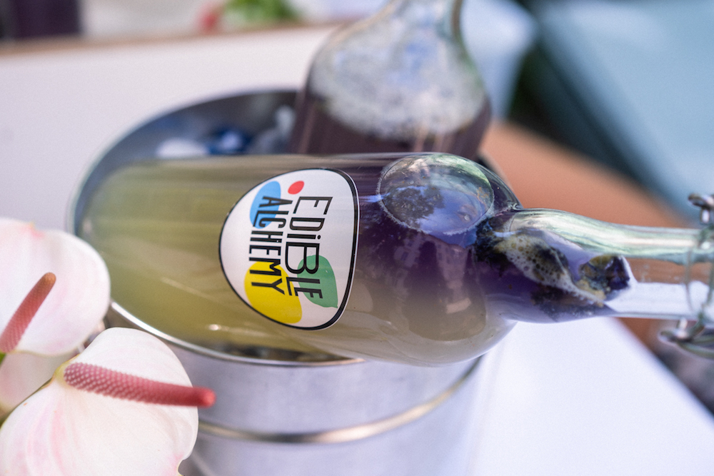 purple bottled water kefir on the bacteria bar