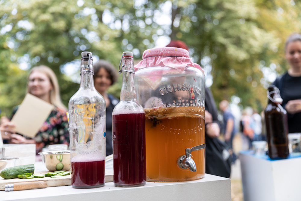 kombucha vat and bottles on table