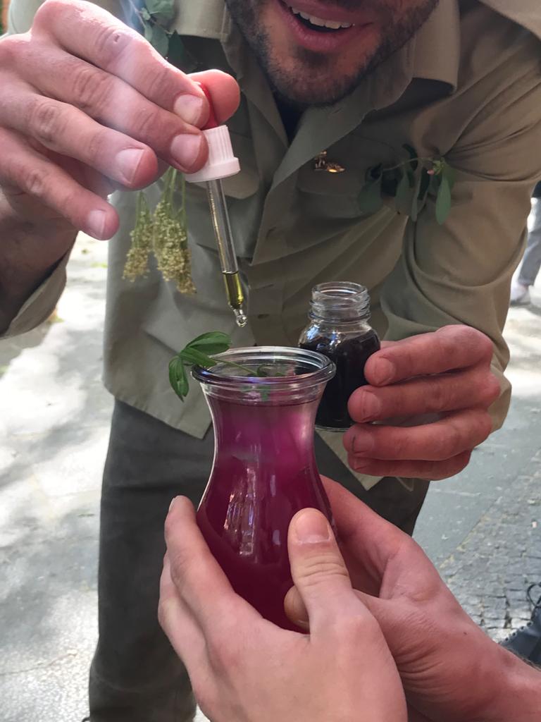 dropping droplets of sweet woodruff essence into a drink