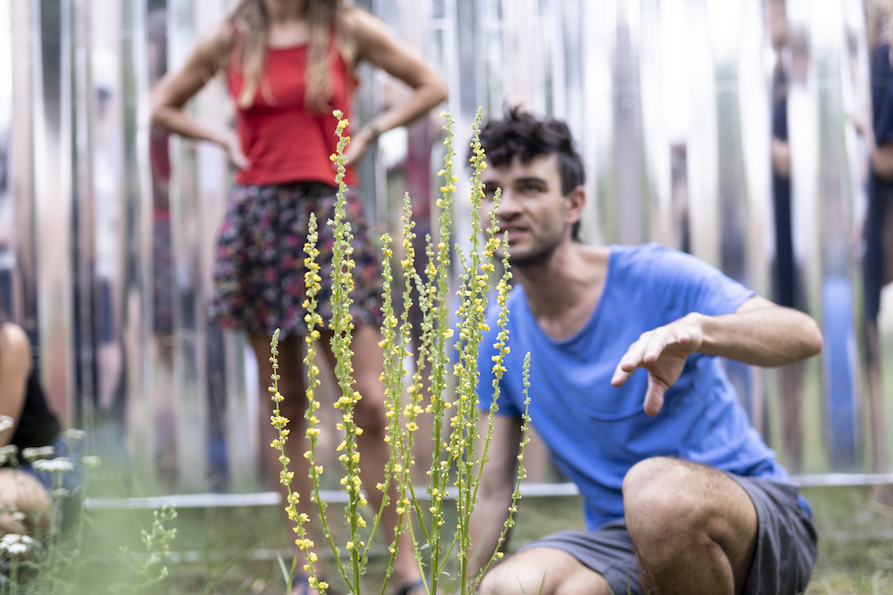 man and woman behind wild plants